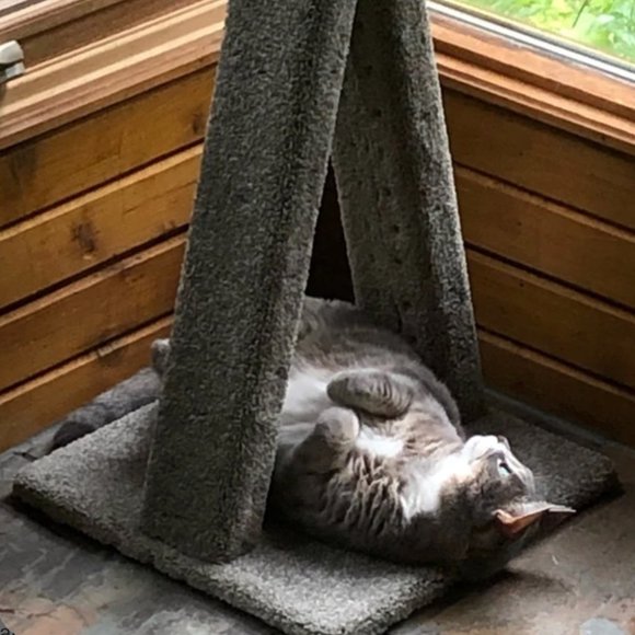 COPY - New A-Frame Cat Scratching Post - Picture 7 of 10